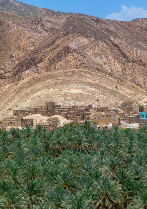 Old village in the middle of an oasis, Ad Dakhiliyah ‍Governorate, Birkat Al Mouz, Oman