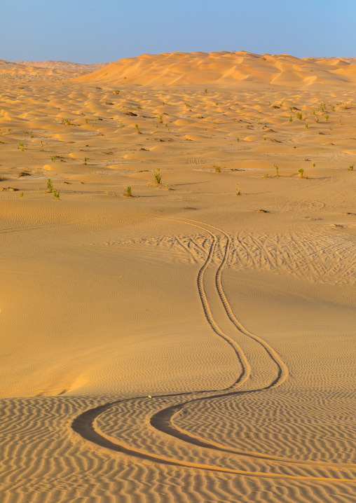 Sand car tire tracks in the rub al khali desert, Dhofar Governorate, Rub al Khali, Oman