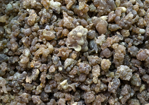 Frankincense for sale in a shop, Dhofar Governorate, Salalah, Oman