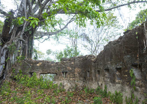 Panama, Darien Province, Boca Grande, Fuerte San Lorenzo Ruins