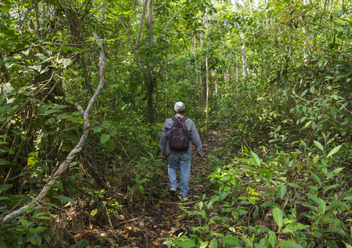 Panama, Darien Province, Filo Del Tallo, Trekking In Filo Del Tallo