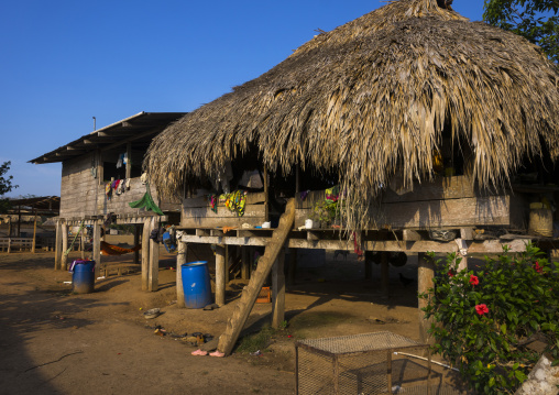 Panama, Darien Province, Alto Playona, Ladder On An Embera Indian House