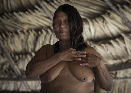 Panama, Darien Province, Puerta Lara, Woman Of Wounaan Native Community