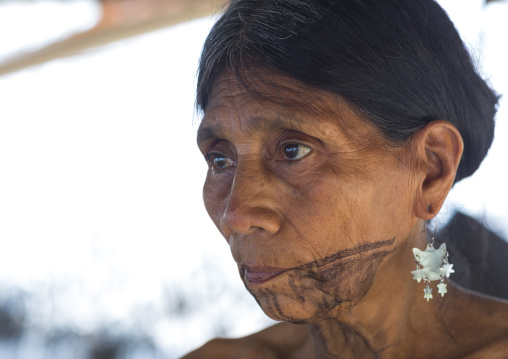 Panama, Darien Province, Bajo Chiquito, Woman Of The Native Indian Embera Tribe Portrait