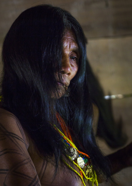 Panama, Darien Province, Bajo Chiquito, Woman Of The Native Indian Embera Tribe