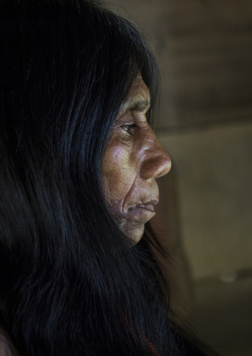 Panama, Darien Province, Bajo Chiquito, Woman Of The Native Indian Embera Tribe