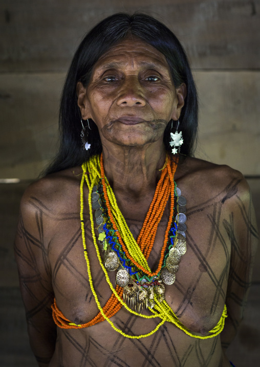 Panama, Darien Province, Bajo Chiquito, Woman Of The Native Indian Embera Tribe