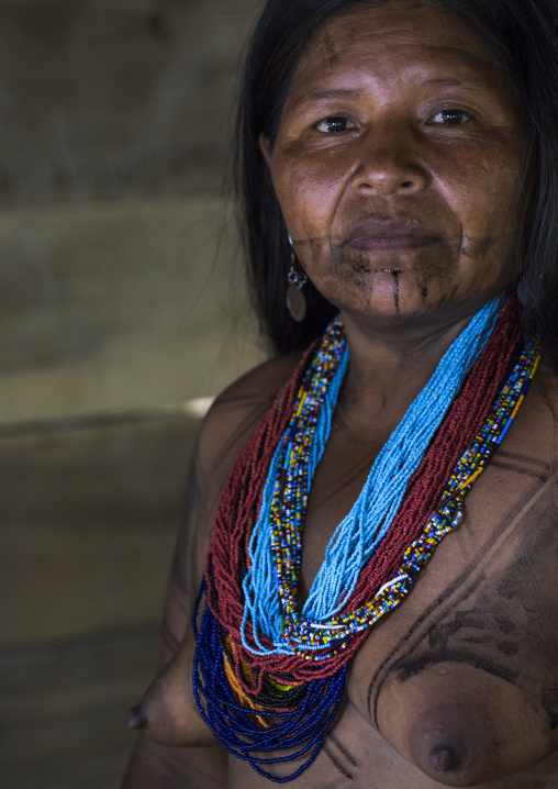 Panama, Darien Province, Bajo Chiquito, Woman Of The Native Indian Embera Tribe