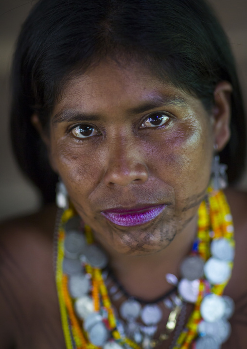 Panama, Darien Province, Bajo Chiquito, Woman Of The Native Indian Embera Tribe