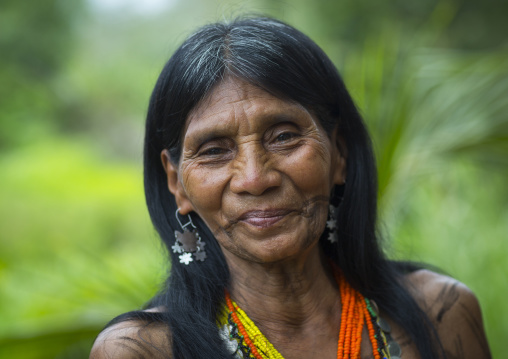 Panama, Darien Province, Bajo Chiquito, Woman Of The Native Indian Embera Tribe