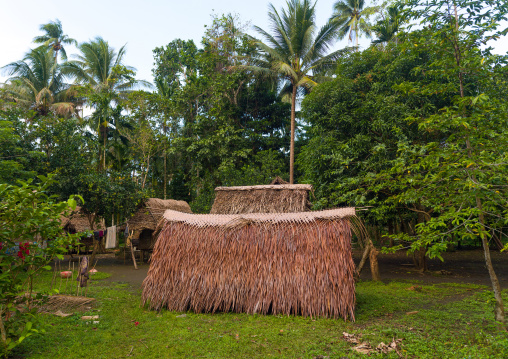 Traditional house with thatched roof in a village, Milne Bay Province, Trobriand Island, Papua New Guinea