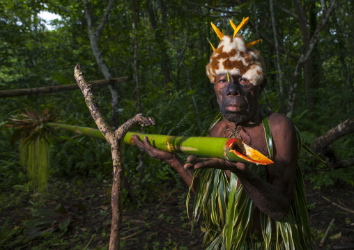 Portrait of a traditional witch doctor in the jungle, New Ireland Province, Kavieng, Papua New Guinea