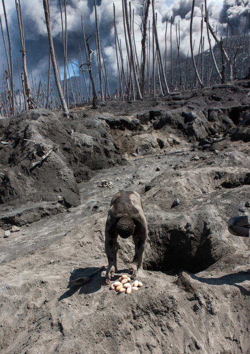 Man digging to find megapode birds eggs in Tavurvur volcano ashes, East New Britain Province, Rabaul, Papua New Guinea
