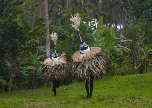 Duk duk giant masks during a Tubuan dance, East New Britain Province, Rabaul, Papua New Guinea