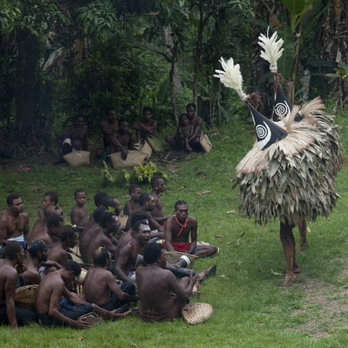 Duk duk giant masks during a Tubuan dance, East New Britain Province, Rabaul, Papua New Guinea