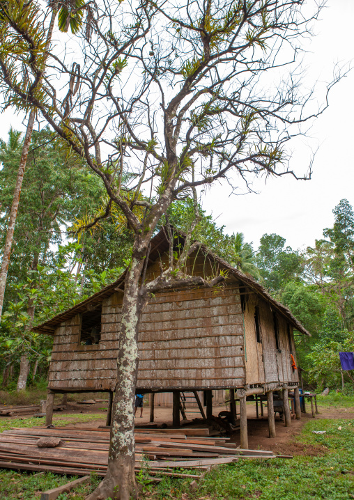Wooden house in the forest, Milne Bay Province, Alotau, Papua New Guinea