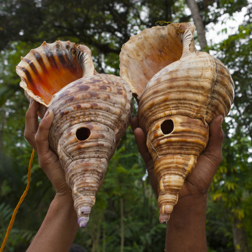 Boy holding two giant shells used to call friends, Milne Bay Province, Alotau, Papua New Guinea