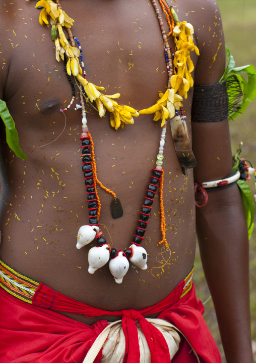 Detail of a tribal dancer with shells necklaces during a ceremony, Milne Bay Province, Trobriand Island, Papua New Guinea