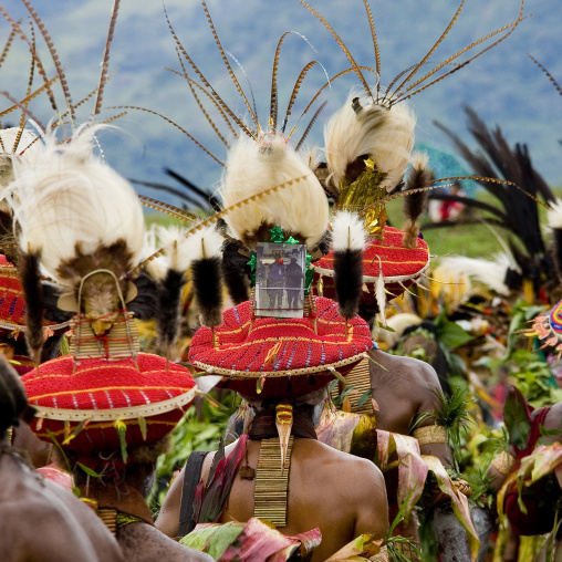 Highlander warriors with traditional clothing during a sing-sing, Western Highlands Province, Mount Hagen, Papua New Guinea