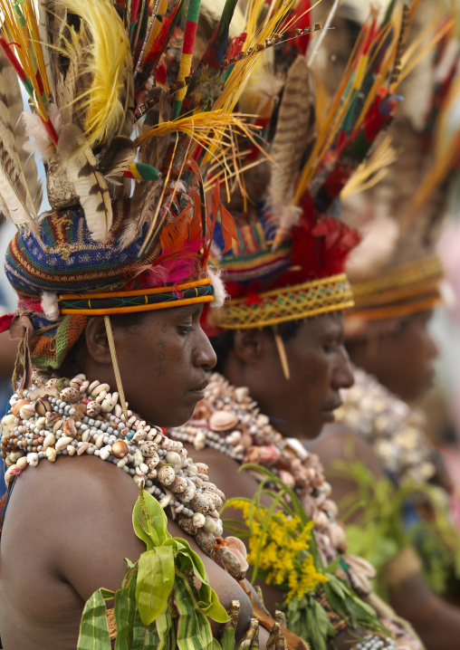 Melpa tribe women in traditional clothing during a sing-sing, Western Highlands Province, Mount Hagen, Papua New Guinea