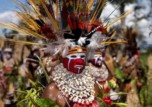 Highlander women with traditional clothing during a sing-sing, Western Highlands Province, Mount Hagen, Papua New Guinea