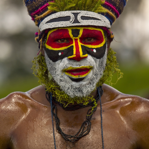 Highlander warrior with traditional makeup during a sing-sing, Western Highlands Province, Mount Hagen, Papua New Guinea