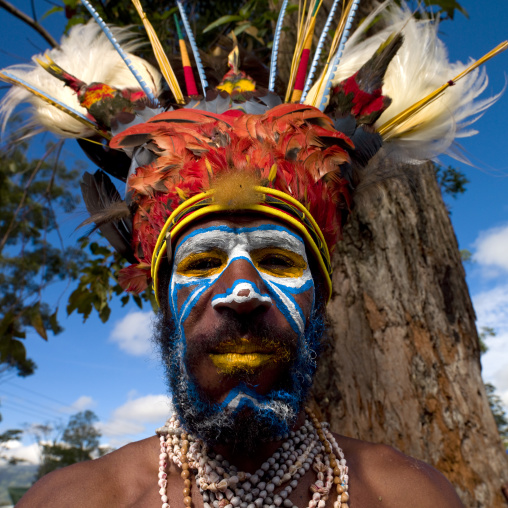 Highlander warrior with traditional makeup during a sing-sing, Western Highlands Province, Mount Hagen, Papua New Guinea