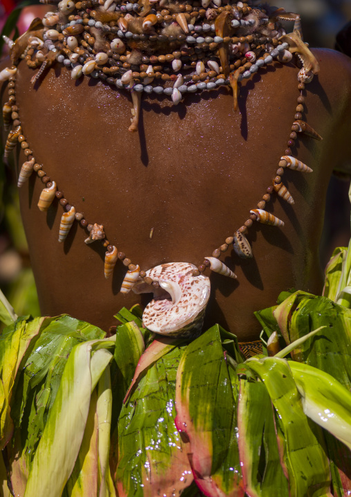 Melpa tribe woman back decoration during a sing-sing, Western Highlands Province, Mount Hagen, Papua New Guinea