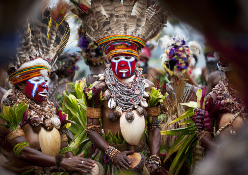 Highlander women with traditional clothing during a sing-sing, Western Highlands Province, Mount Hagen, Papua New Guinea