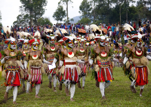 Highlander warriors with traditional clothing during a sing-sing, Western Highlands Province, Mount Hagen, Papua New Guinea