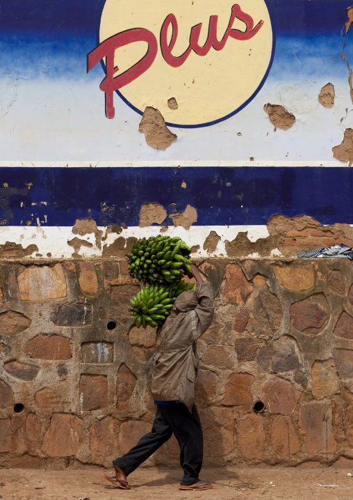 Rwandan man carrying bananas in the street, Kigali Province, Kigali, Rwanda