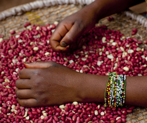 Woman selling peanuts in the market, Kigali Province, Kigali, Rwanda