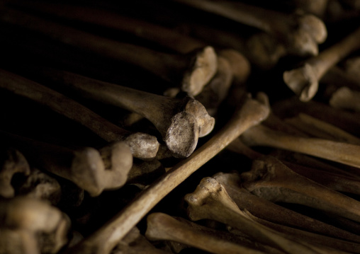 Human skulls in gisozi genocide memorial site, Kigali Province, Kigali, Rwanda