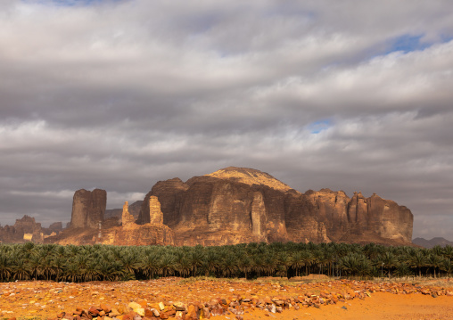 Palm trees in the oasis of jebel Dedan, Al Madinah Province, Alula, Saudi Arabia