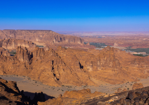 Oasis in the middle of the wadi al-Qura, Al Madinah Province, Alula, Saudi Arabia