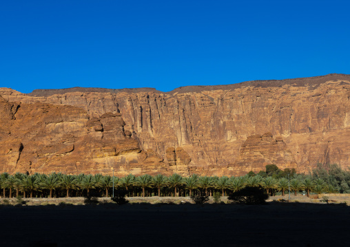 Mountains and palm trees of the wadi al-qura, Al Madinah Province, Alula, Saudi Arabia