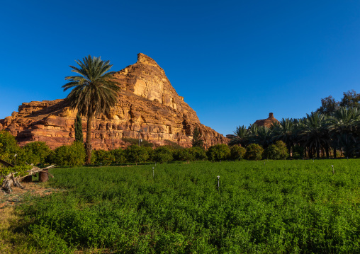 Farm in front of a mountain, Al Madinah Province, Alula, Saudi Arabia