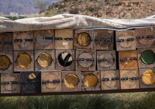 Beehives in a farm, Jizan province, Addarb, Saudi Arabia