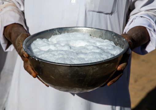 Saudi man holding a bucket of fresh camel milk, Najran Province, Najran, Saudi Arabia