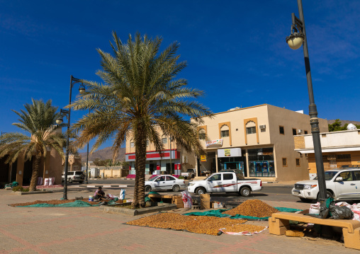Dates dried in the street to feed the camels, Najran Province, Najran, Saudi Arabia
