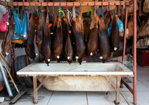 Traditional water-bags made of animal skin above a bathtub, Najran Province, Najran, Saudi Arabia