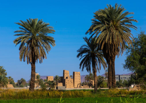 Traditional old multi-storey mud houses, Najran Province, Najran, Saudi Arabia
