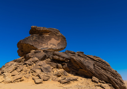 Life-sized camel petroglyph on a rock, Najran Province, Thar, Saudi Arabia
