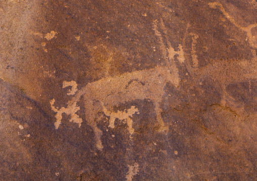 Petroglyphs on a rock depicting ibex, Najran Province, Thar, Saudi Arabia