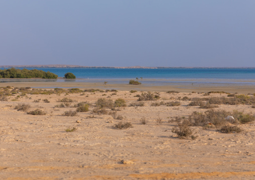 Empty beach, Red Sea, Farasan, Saudi Arabia