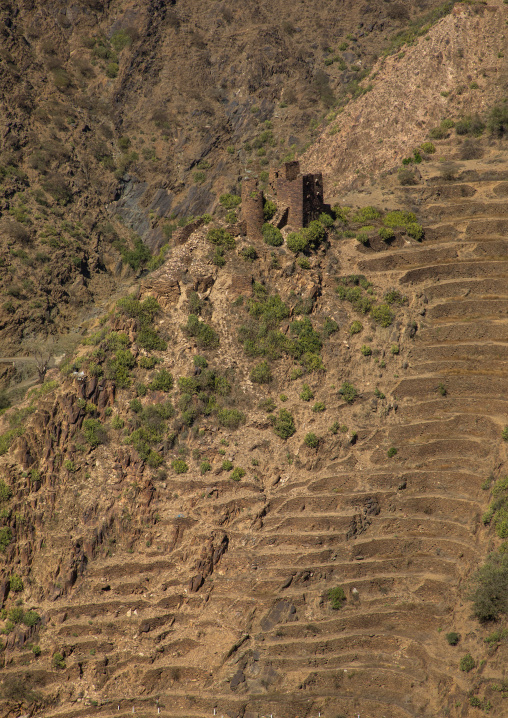 Traditional stone watchtowers in the mountain, Jizan Province, Addayer, Saudi Arabia