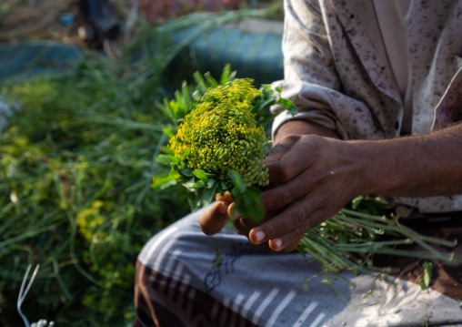 A flower vendor preparing floral garlands and crowns on a market, Jizan Province, Mahalah, Saudi Arabia
