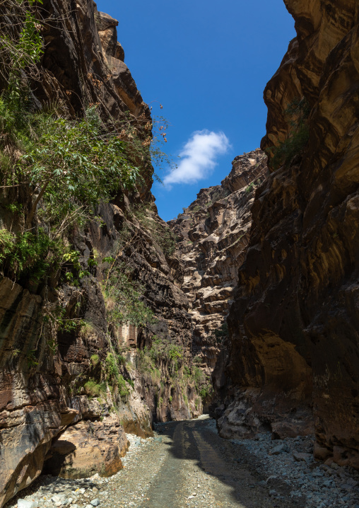 Wadi Lajab, Jizan Province, Jebel Qahar, Saudi Arabia