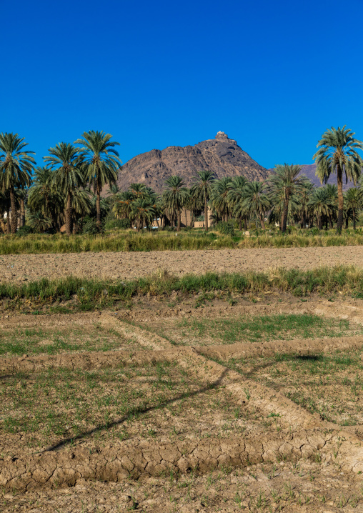 Traditional old mud houses, Najran Province, Najran, Saudi Arabia