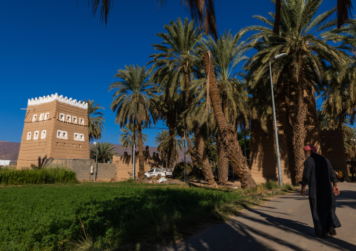 Traditional old mud house in an oasis, Najran Province, Najran, Saudi Arabia